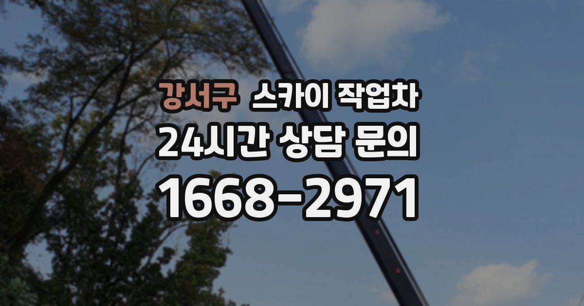 강서구 스카이 작업차
