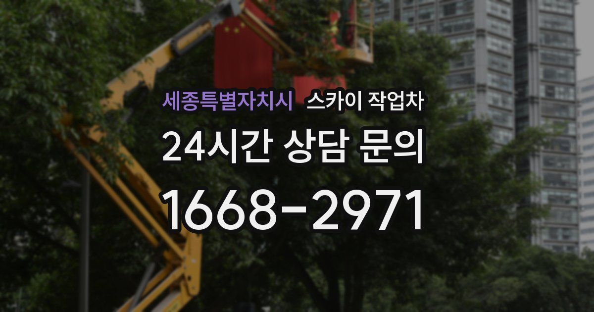 세종특별자치시 스카이 작업차