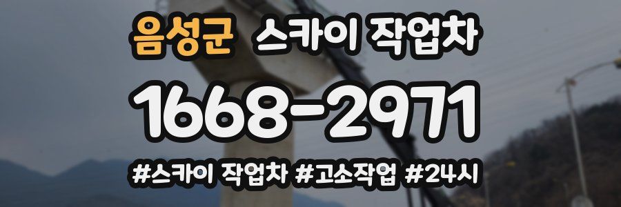 음성군 스카이 작업차