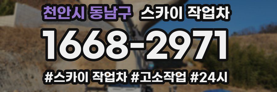 천안시 동남구 스카이 작업차