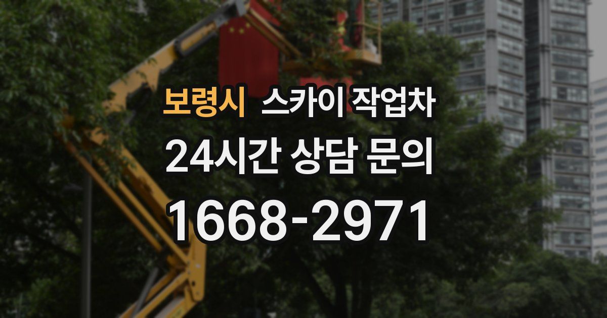 보령시 스카이 작업차