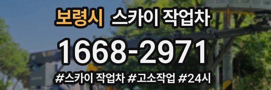 보령시 스카이 작업차