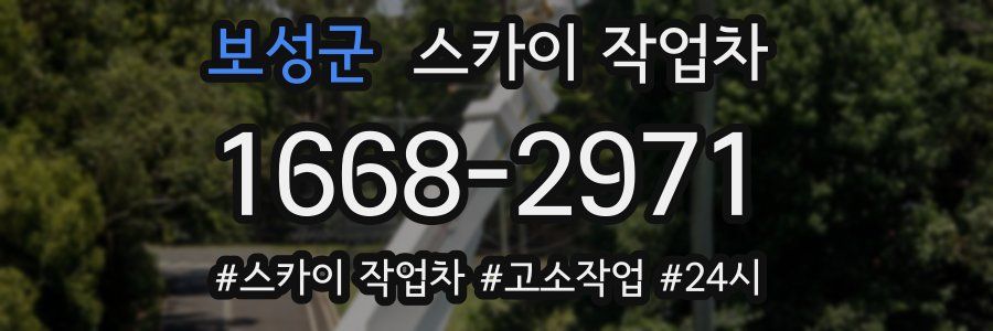 보성군 스카이 작업차