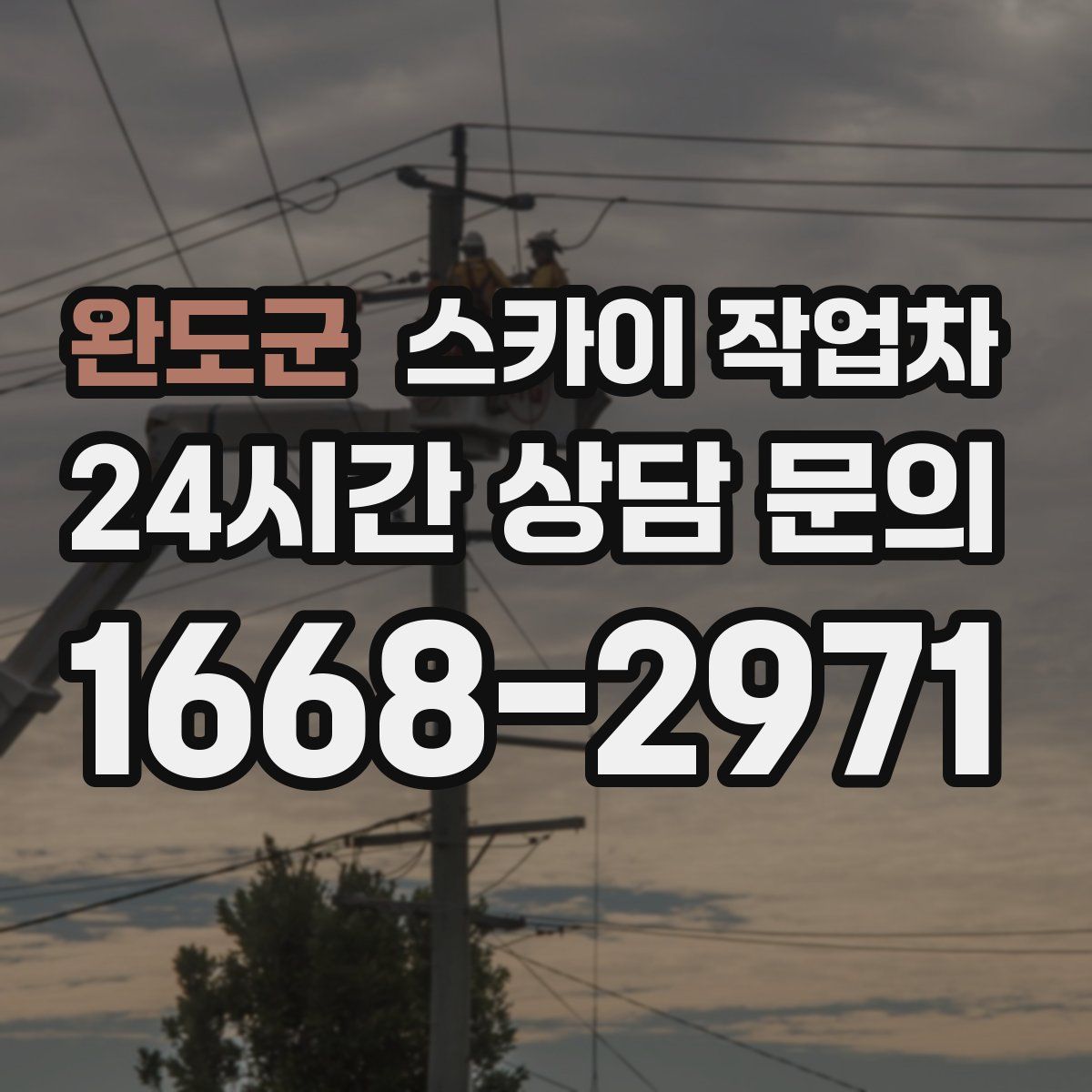 완도군 스카이 작업차