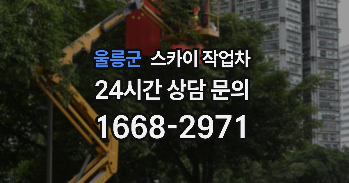 울릉군 스카이 작업차