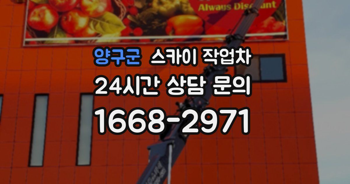 양구군 스카이 작업차