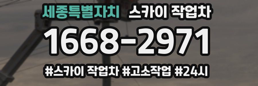 세종특별자치 스카이 작업차