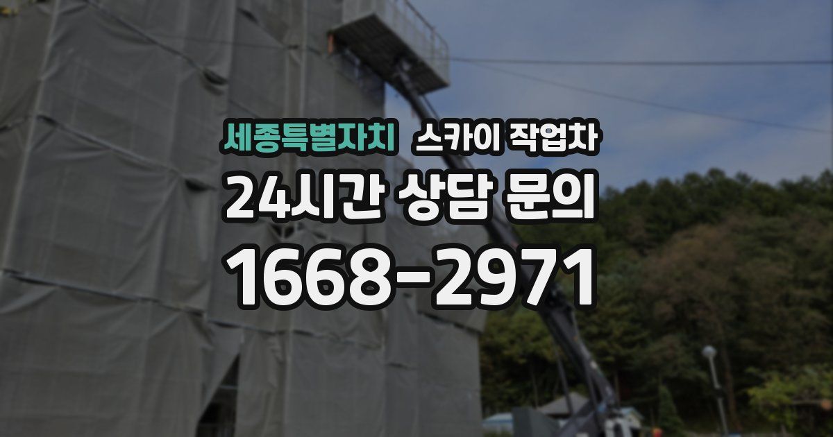 세종특별자치 스카이 작업차