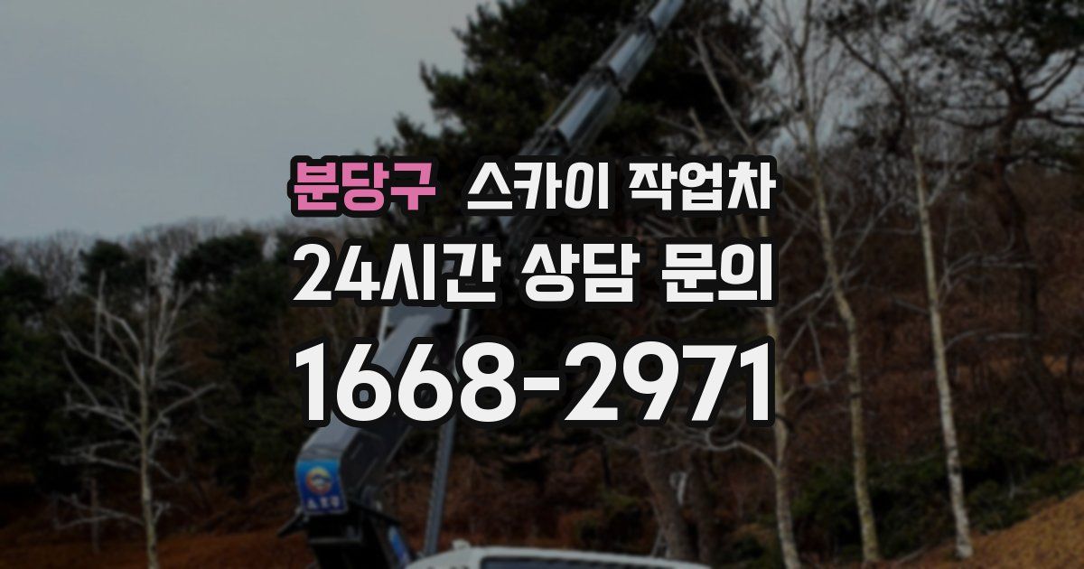 분당구 스카이 작업차