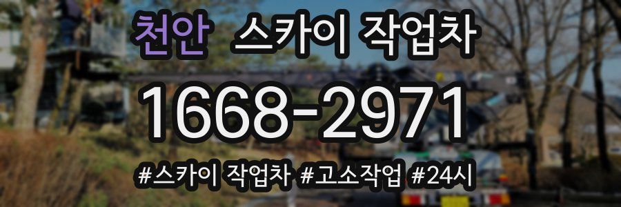 천안 스카이 작업차