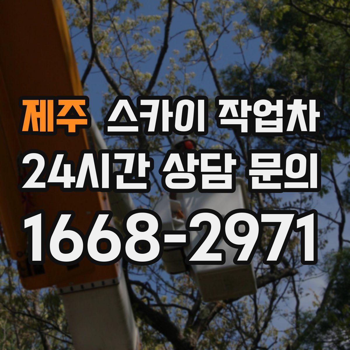 제주 스카이 작업차