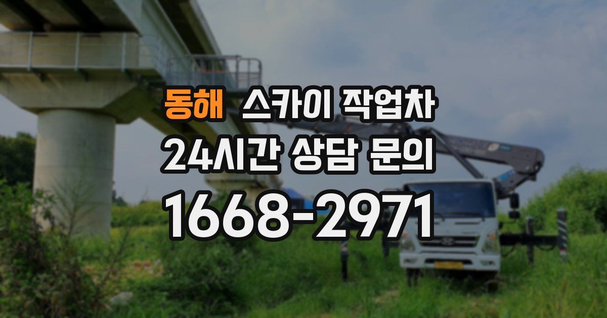 동해 스카이 작업차