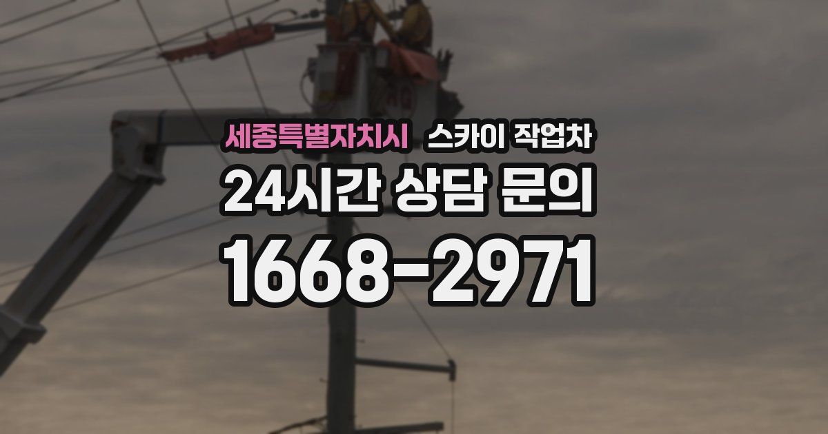 세종특별자치시 스카이 작업차