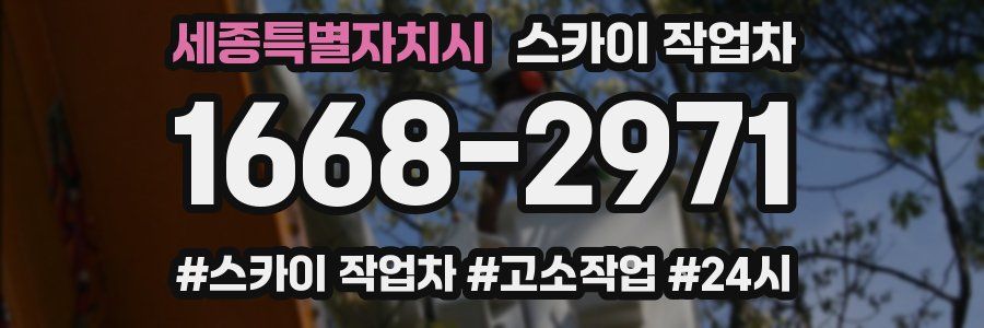 세종특별자치시 스카이 작업차