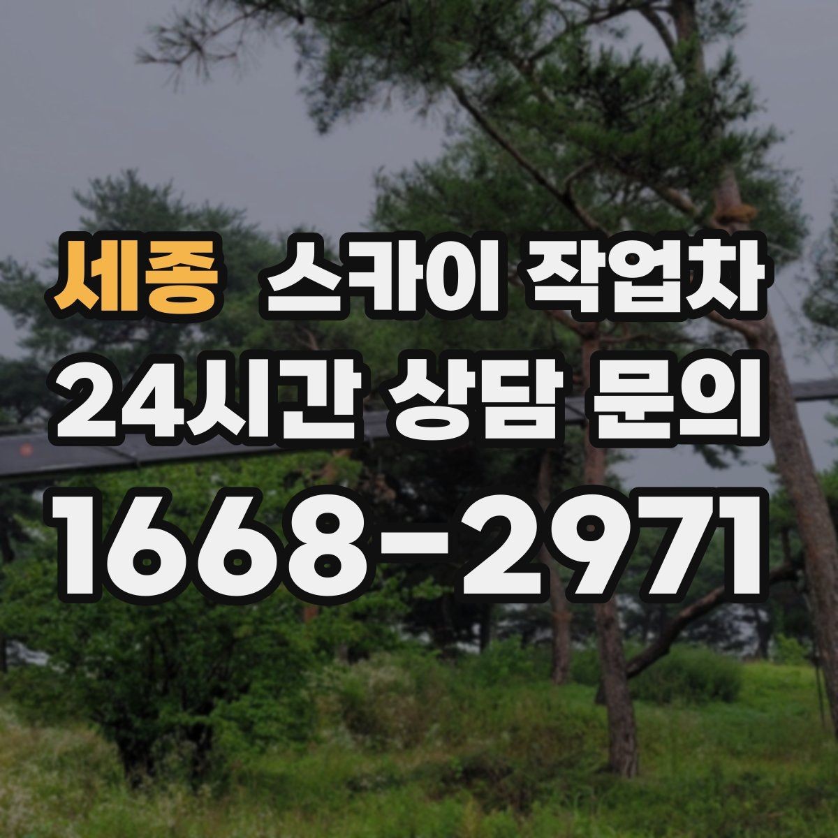 세종 스카이 작업차 현장 조건에 따라 비용이 달라지는 경우