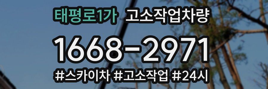 태평로1가 고소작업차량