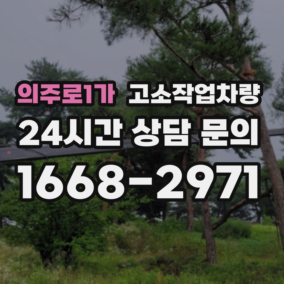 의주로1가 고소작업차량