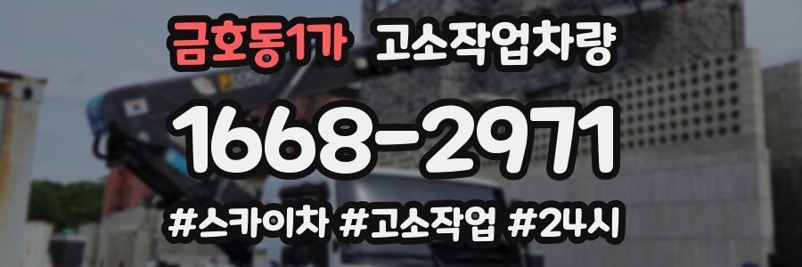 금호동1가 고소작업차량