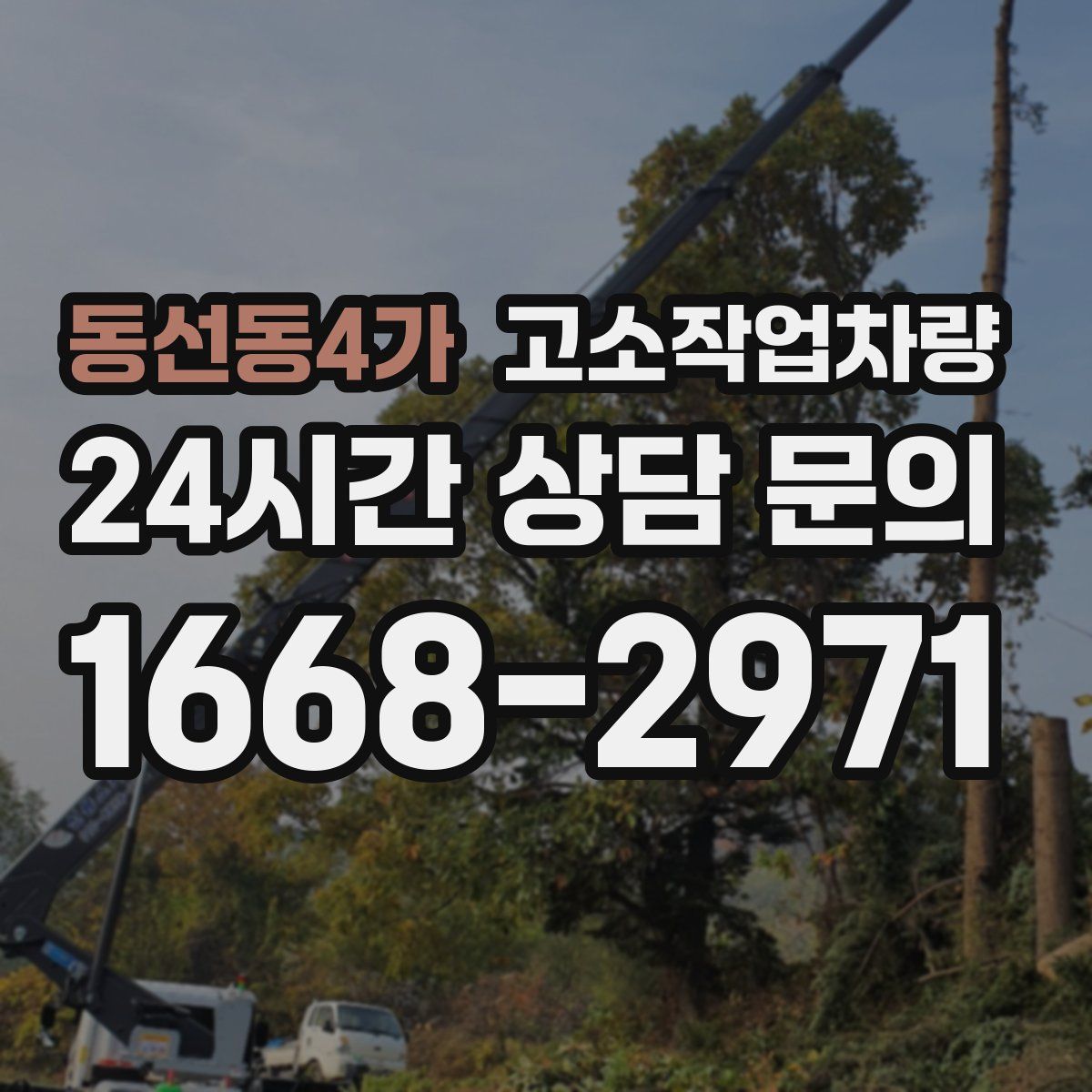 동선동4가 고소작업차량