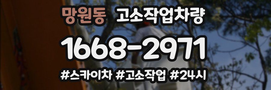 망원동 고소작업차량