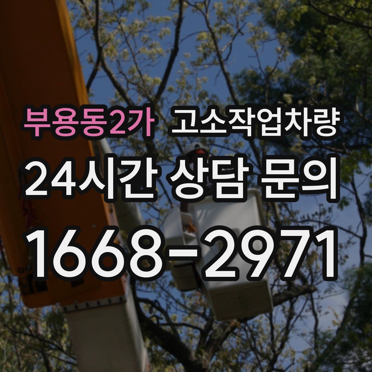 부용동2가 고소작업차량