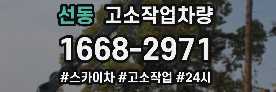 선동 고소작업차량
