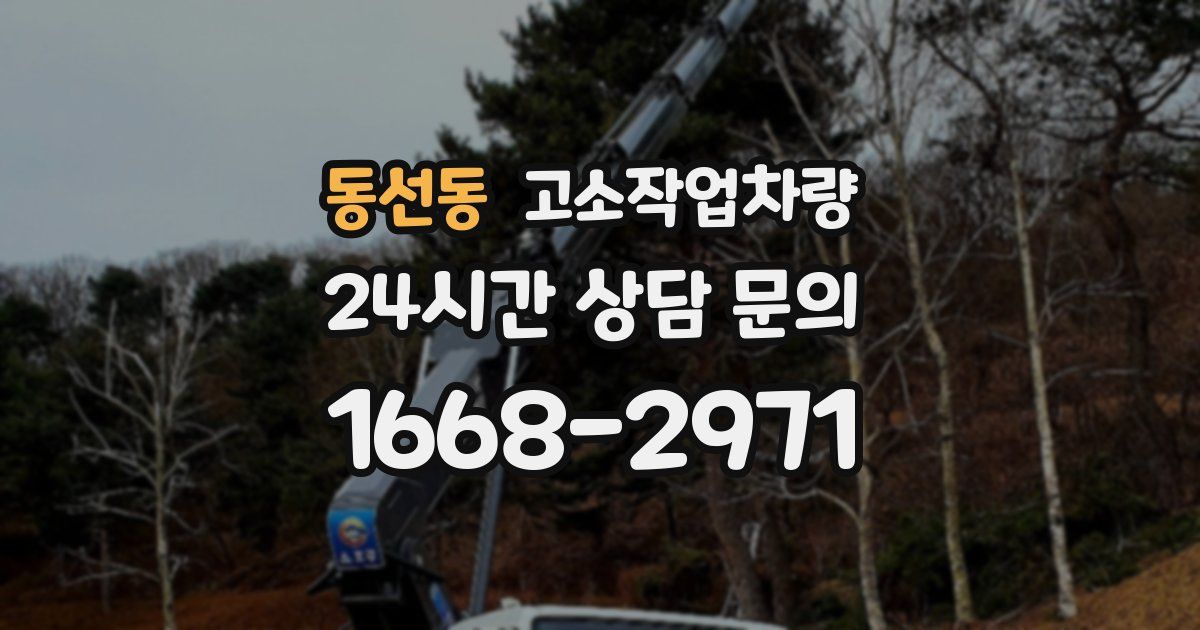 동선동 고소작업차량