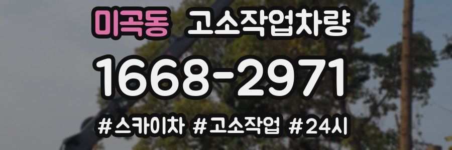 미곡동 고소작업차량