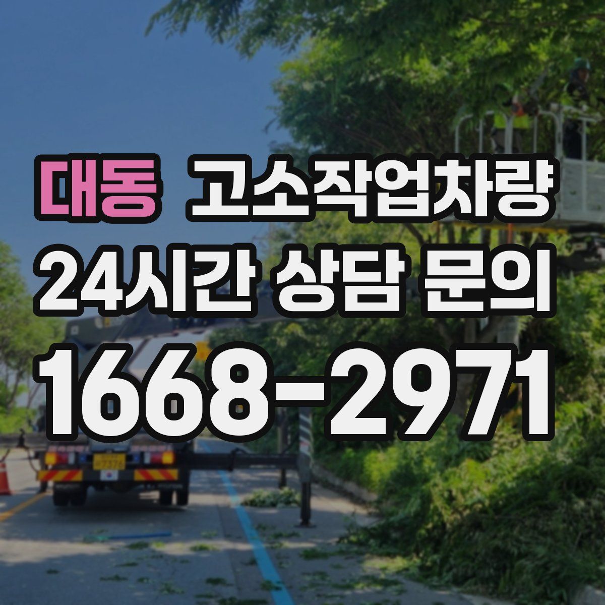 대동 고소작업차량