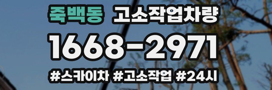 죽백동 고소작업차량