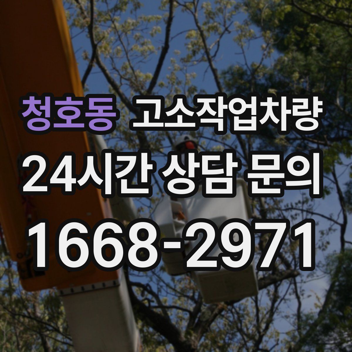 청호동 고소작업차량