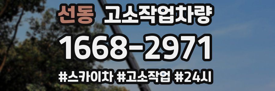 선동 고소작업차량