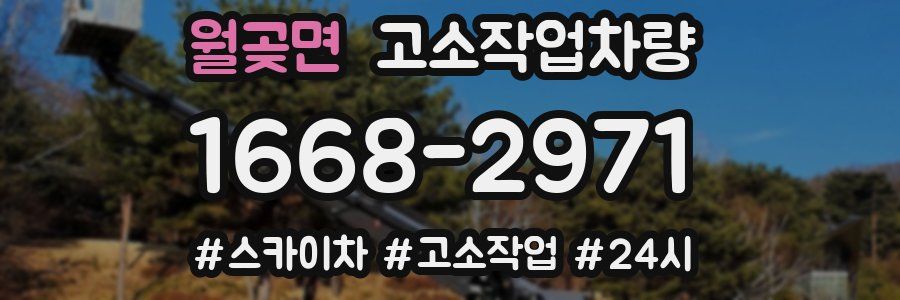 월곶면 고소작업차량