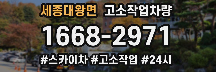 세종대왕면 고소작업차량