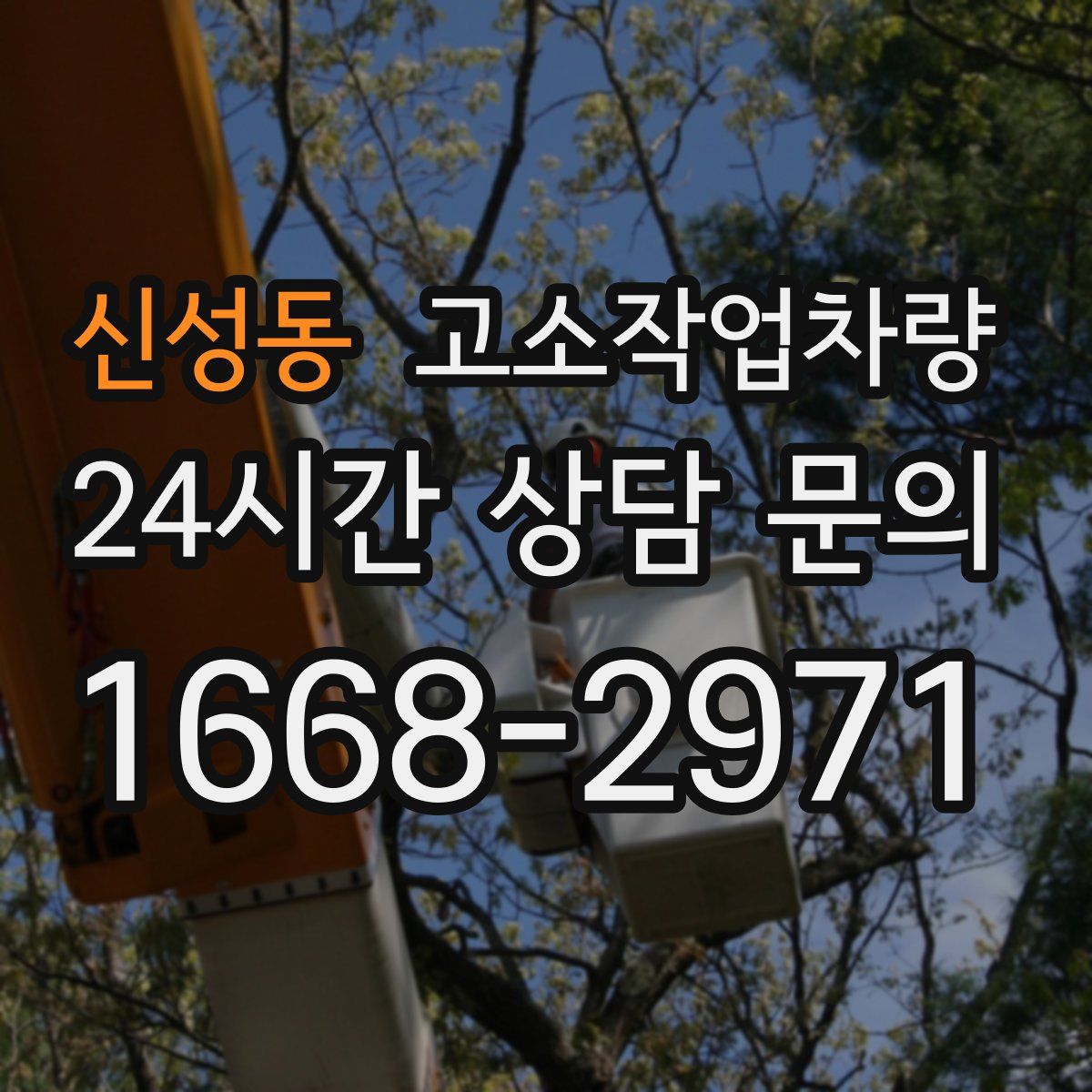 신성동 고소작업차량