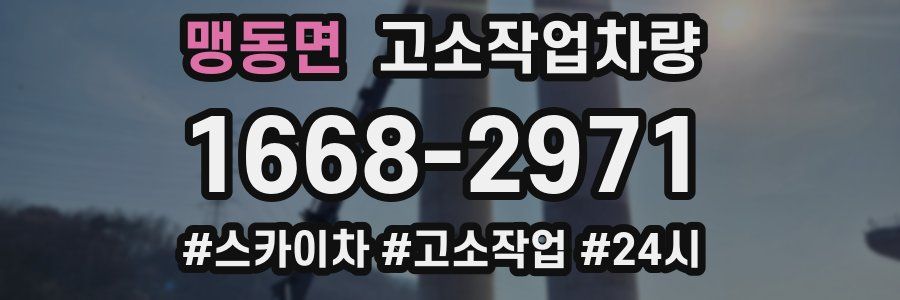 맹동면 고소작업차량