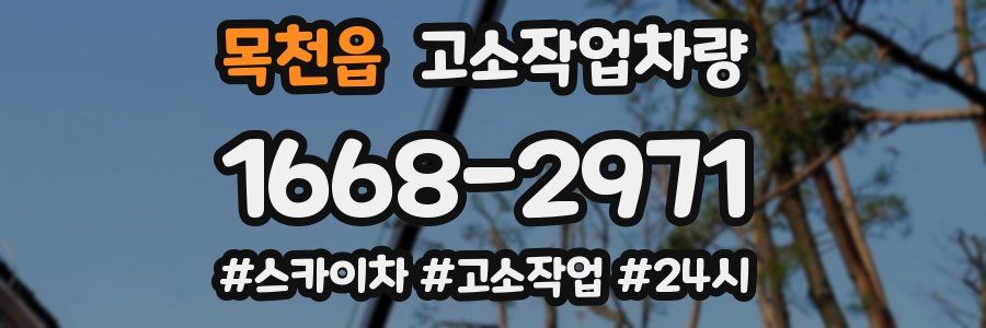 목천읍 고소작업차량