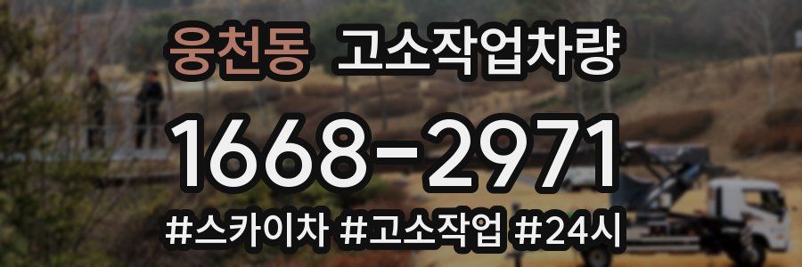 웅천동 고소작업차량