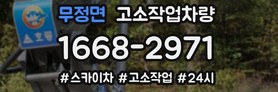 무정면 고소작업차량