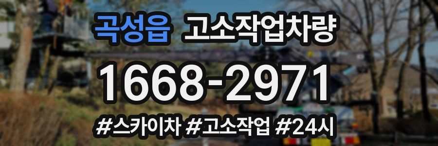 곡성읍 고소작업차량
