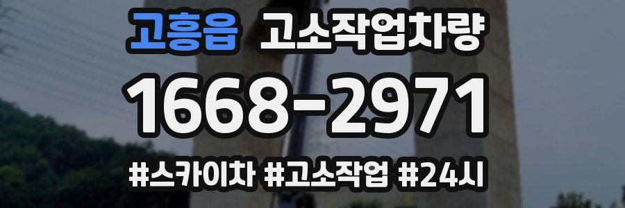 고흥읍 고소작업차량
