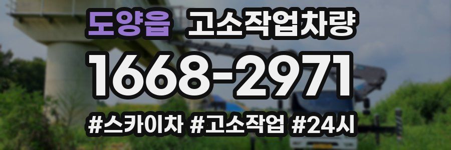 도양읍 고소작업차량