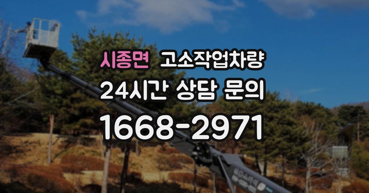 시종면 고소작업차량