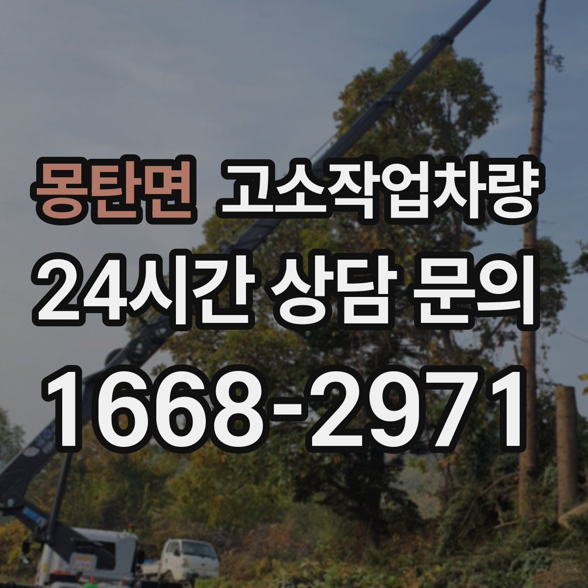 몽탄면 고소작업차량