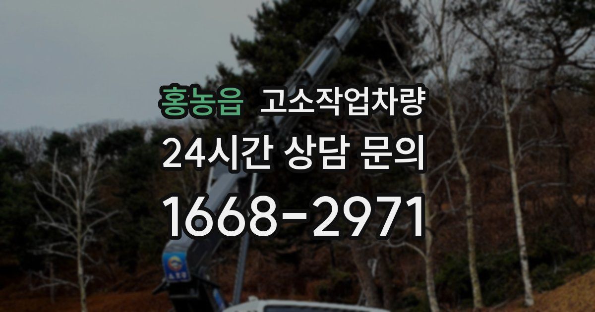 홍농읍 고소작업차량