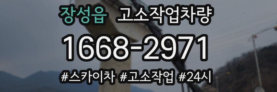 장성읍 고소작업차량