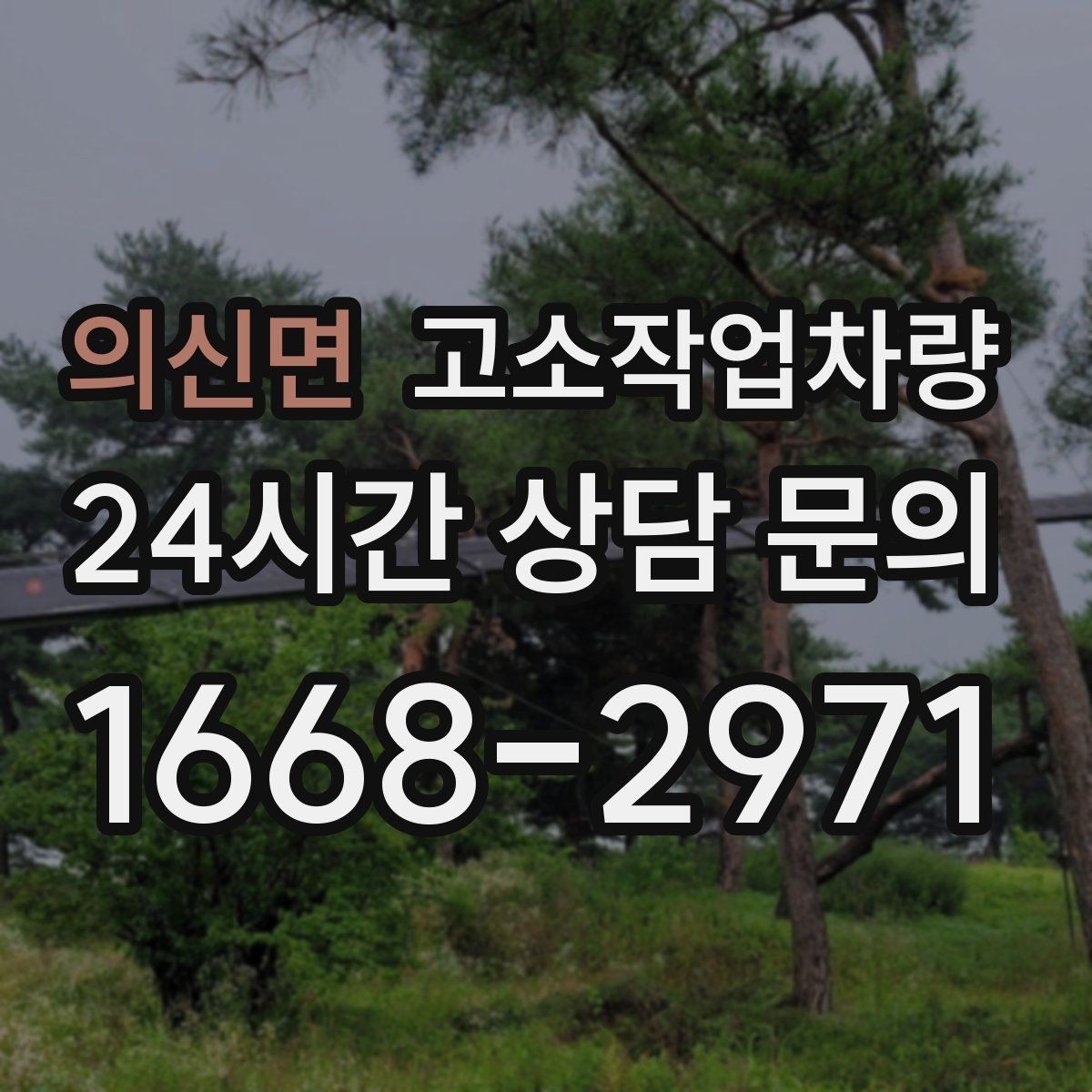 의신면 고소작업차량 임대 시 보증금과 보험 확인하기