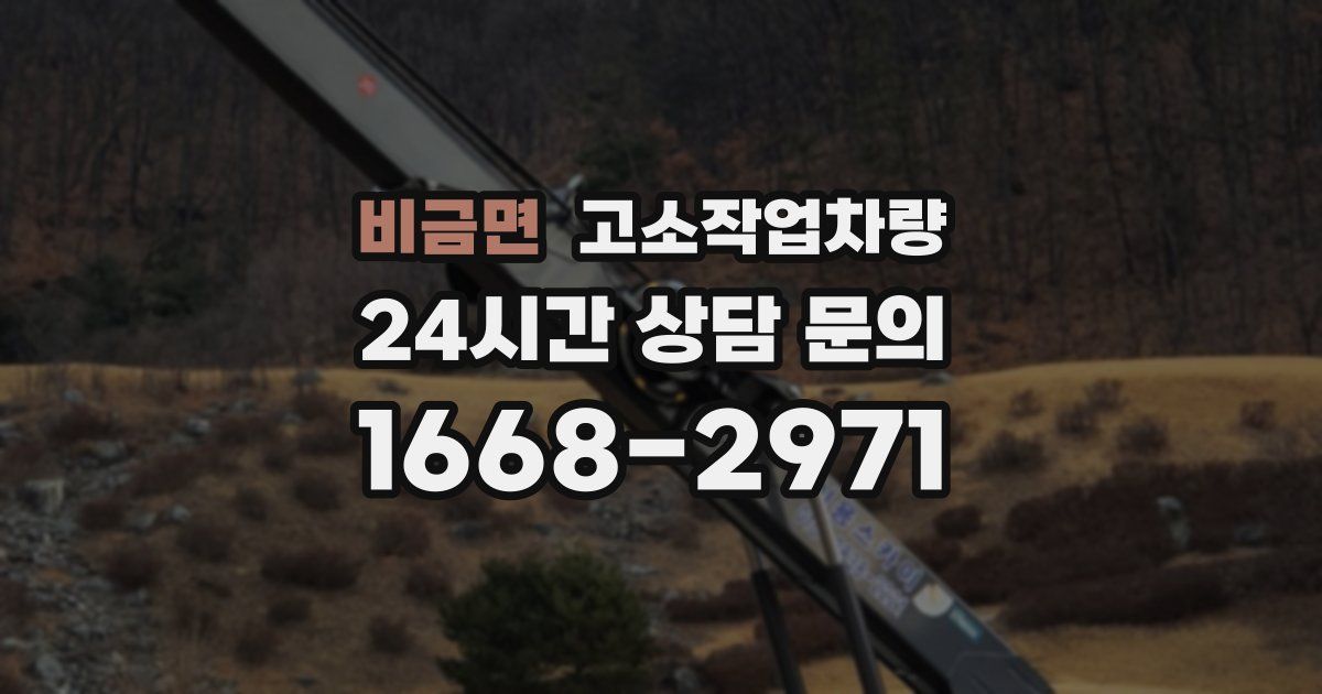 비금면 고소작업차량