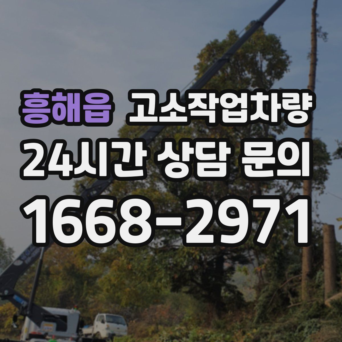 흥해읍 고소작업차량