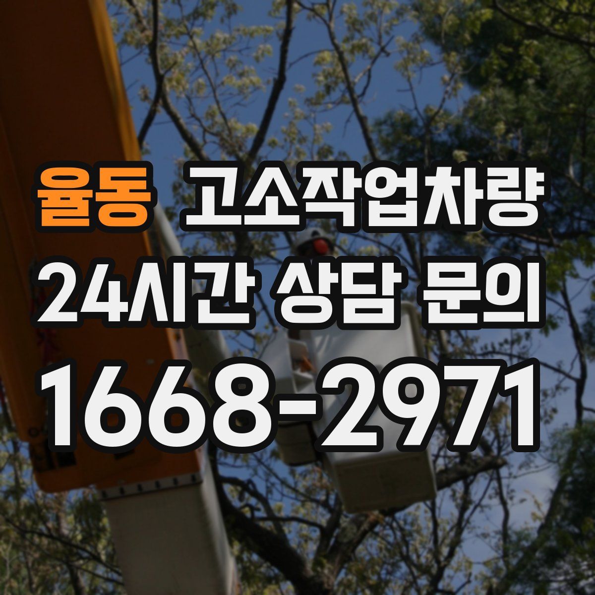 율동 고소작업차량